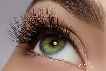 Cils & Sourcils à Lausanne